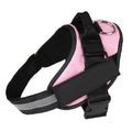 The Custom Reflective Harness