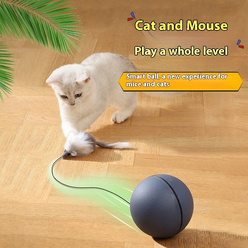 Gravity-Sensing Mouse Teaser Ball | Automatic Rolling Cat Toy | Electric Interactive Pet Toy