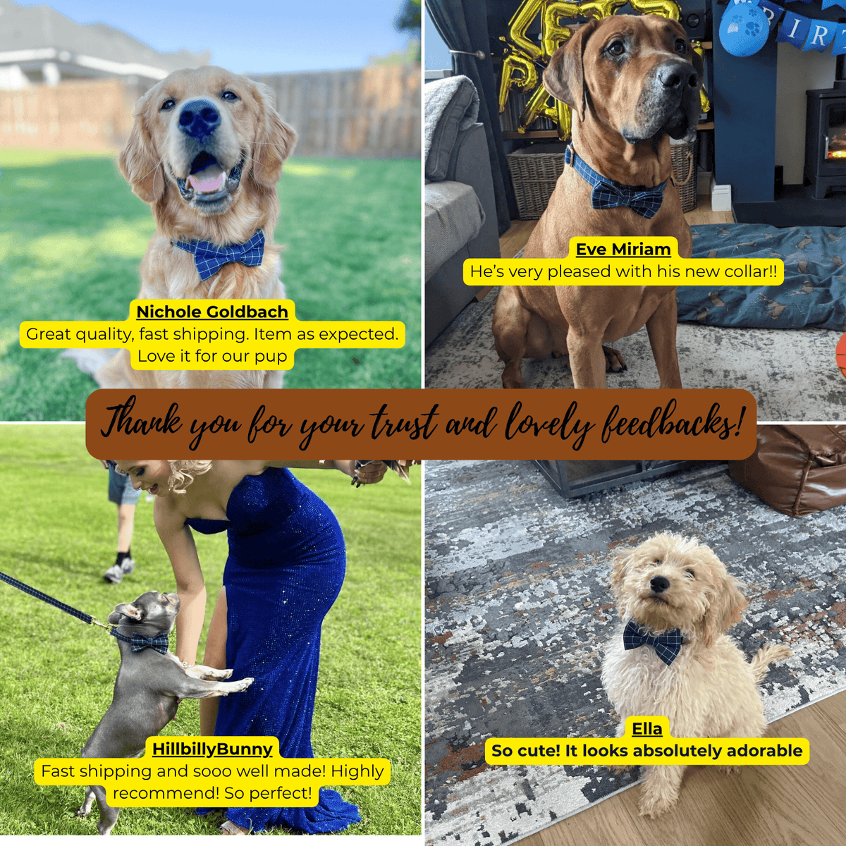Engravable Navy Plaid Dog Matching Set | Collar, Harness, Leash & Bowtie