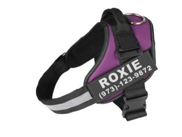 The Custom Reflective Harness