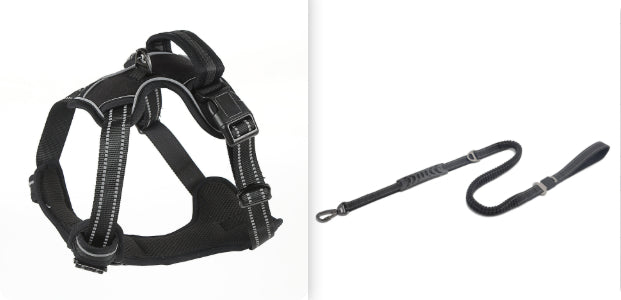 The Breathe Easy Reflective Harness