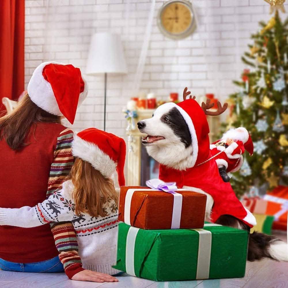 Cozy Christmas Pet Costume