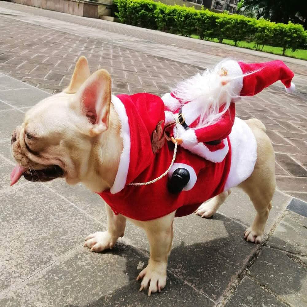 Cozy Christmas Pet Costume