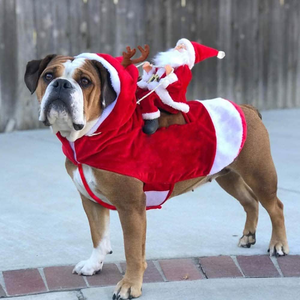 Cozy Christmas Pet Costume