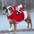 Cozy Christmas Pet Costume