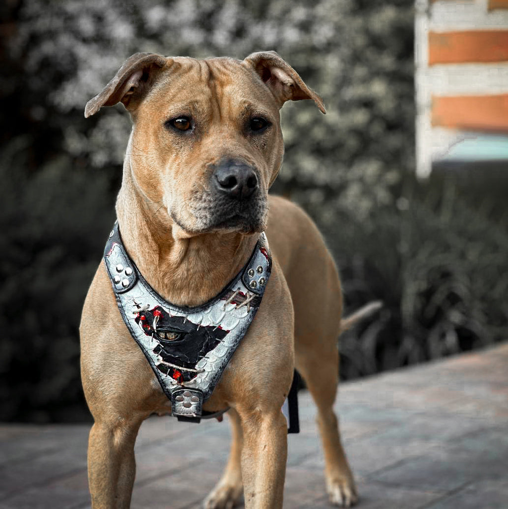 The “Dragon’s Eye” Harness — Limited Halloween Edition by Bestia
