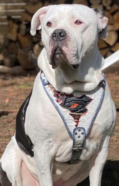 The “Dragon’s Eye” Harness — Limited Halloween Edition by Bestia