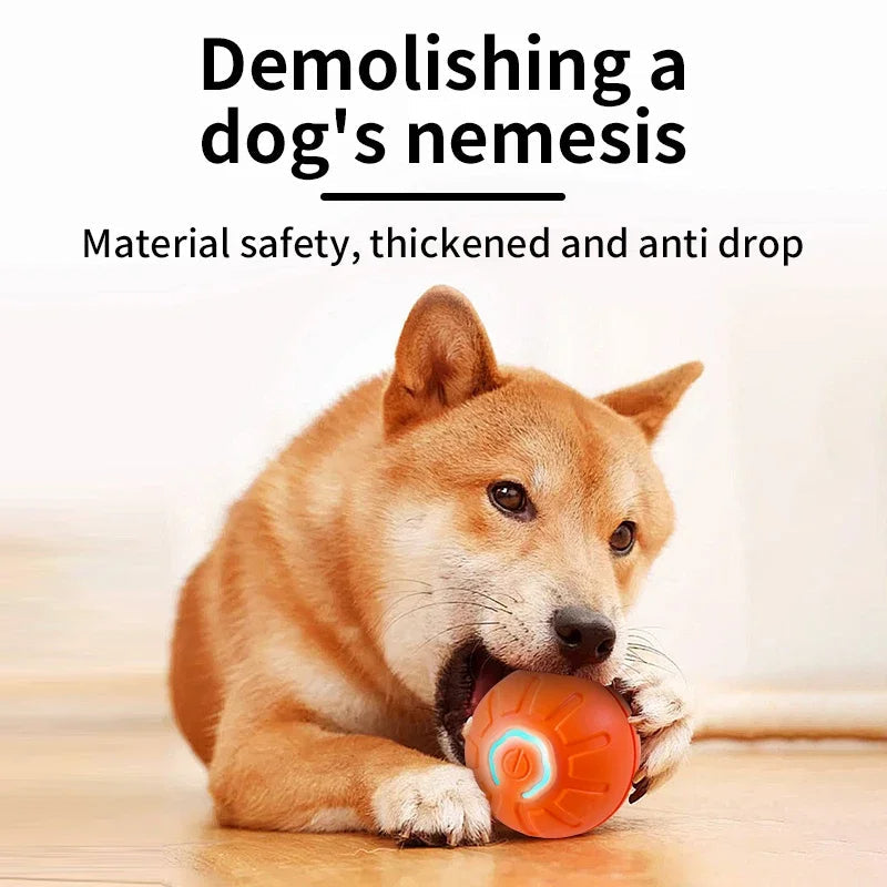 Smart Interactive Pet Toy Ball | Electronic Auto-Rolling & Jumping Ball | USB Rechargeable | Dogs & Cats