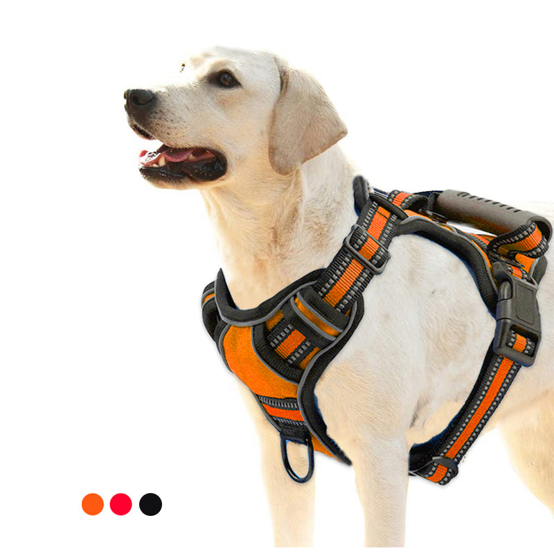 The Breathe Easy Reflective Harness