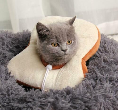 The Flauntly Paws Recovery Collar — Soft Elizabethan Cone for Cats & Kittens