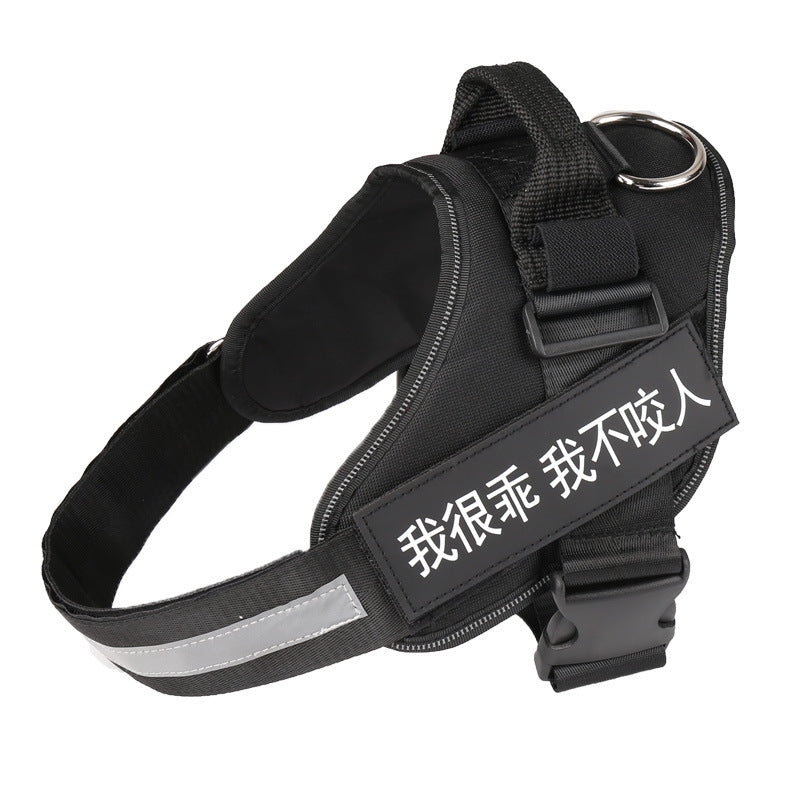 The Custom Reflective Harness