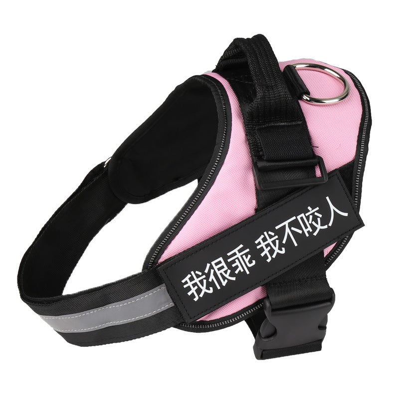 The Custom Reflective Harness
