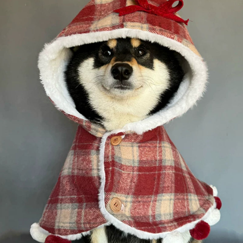 The Alpine Cotton Coat