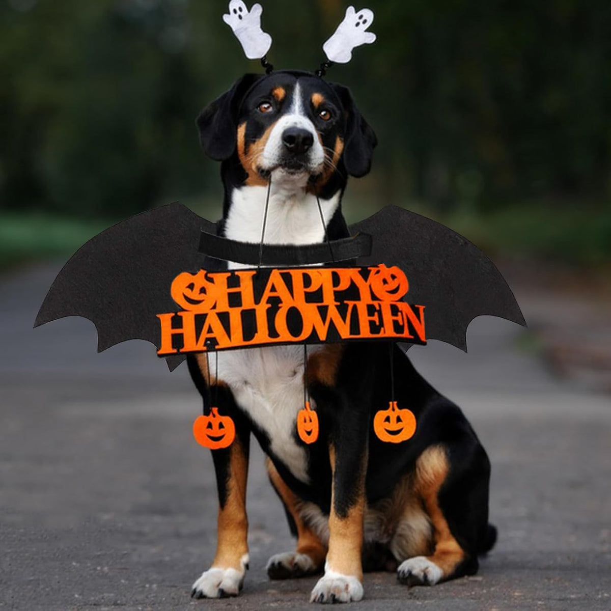 Luminous Bat Wing Halloween Costume for Dogs & Cats