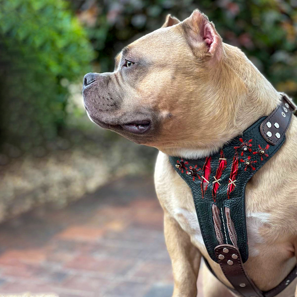 The “Haunted” Harness — Limited Halloween Edition by Bestia