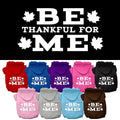 "Be Thankful for Me" Thanksgiving Pet Hoodie — Dogs & Cats