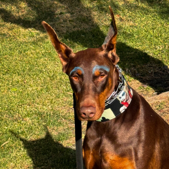 The “Harley” Limited Edition Collar by Bestia — Harley Quinn-Inspired