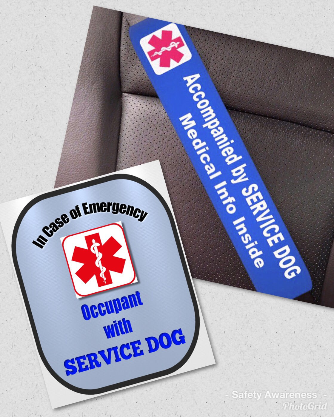 The Flauntly Paws Service Dog Alert Set — Medical Alert Seat Belt Cover & Window Decal
