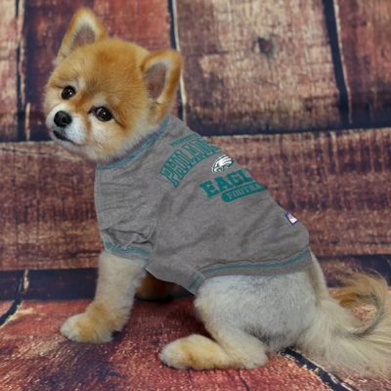 Philadelphia Eagles NFL Dog T-Shirt