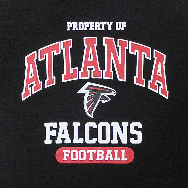 NFL Atlanta Falcons Dog T-Shirt — Officially Licensed Pet Tee (XS–XL)