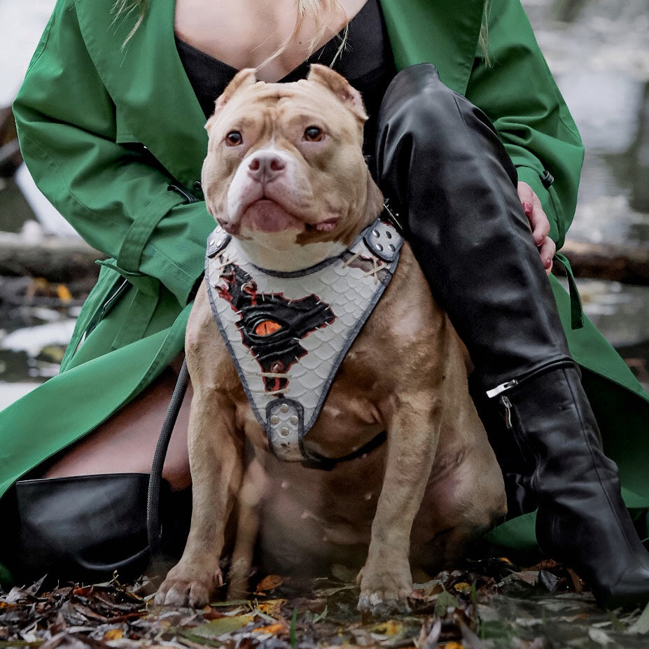 The “Dragon’s Eye” Harness — Limited Halloween Edition by Bestia