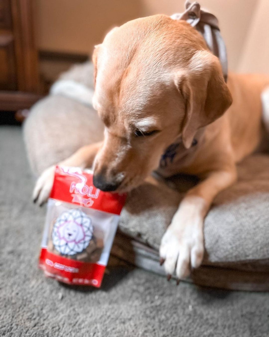 The Freeze-Dried Liver Bites