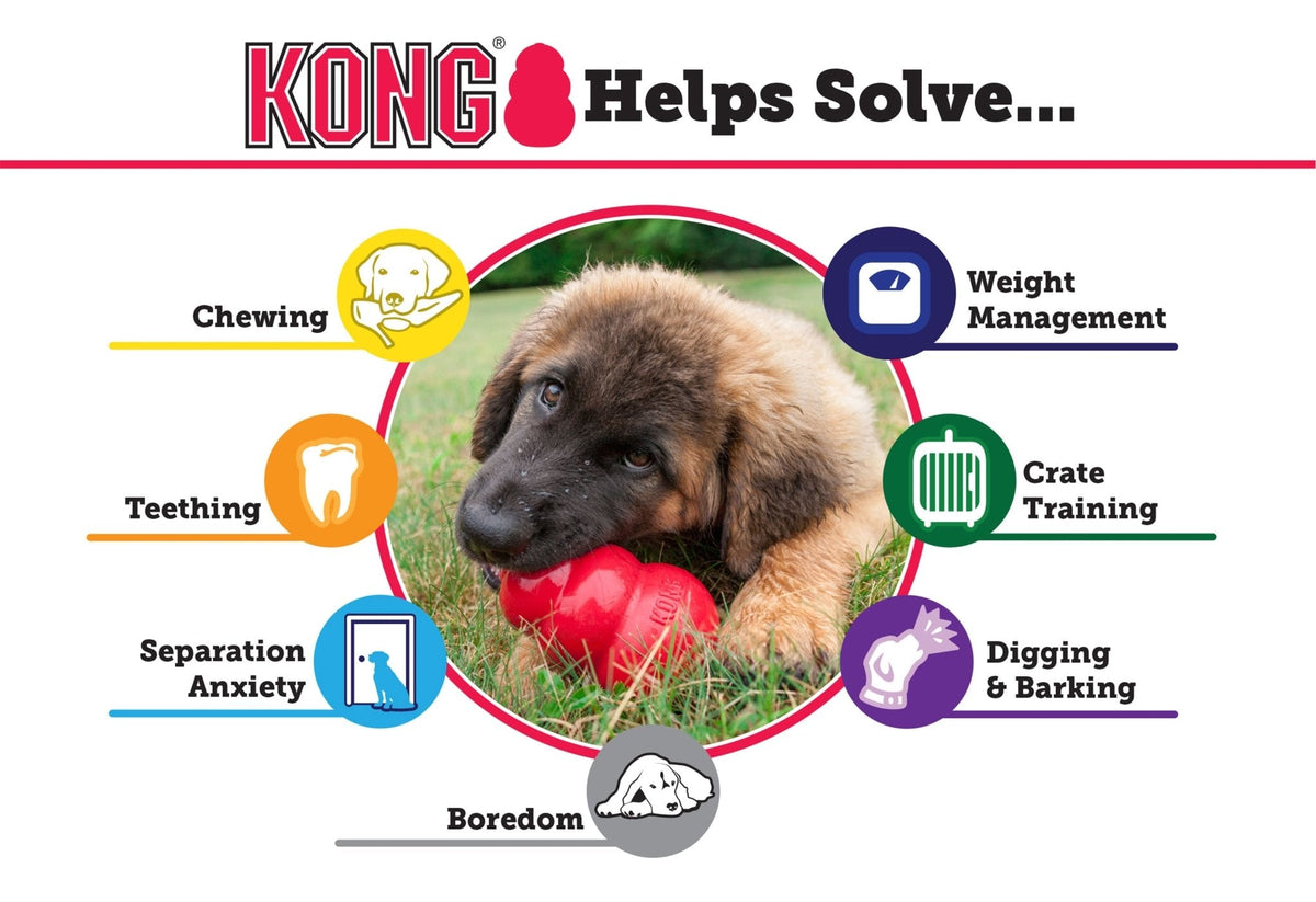 The KONG Extreme Chew