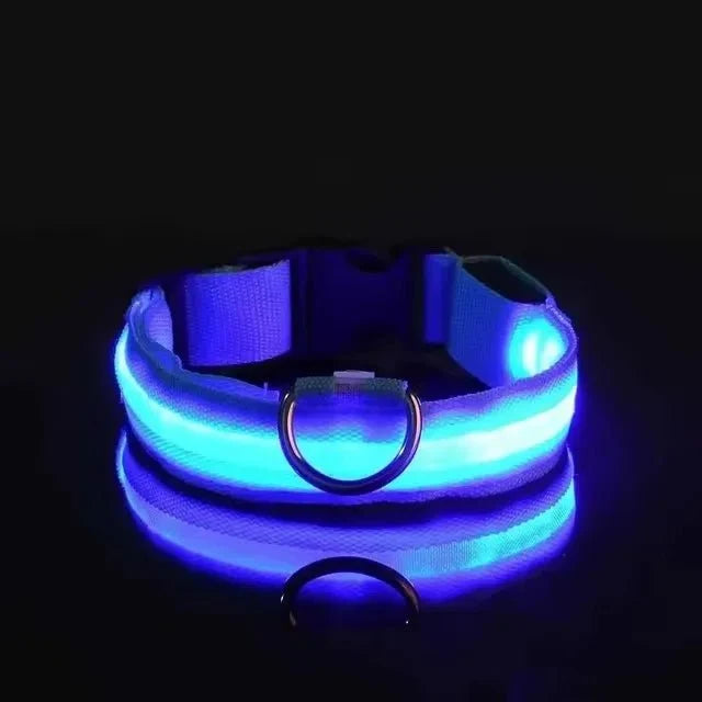 LED Light-Up Dog Collar | Nylon Safety Collar with 3 Glow Modes