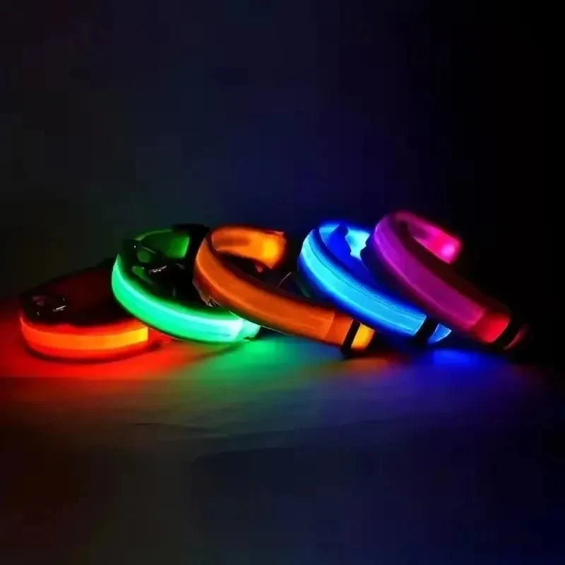LED Light-Up Dog Collar | Nylon Safety Collar with 3 Glow Modes