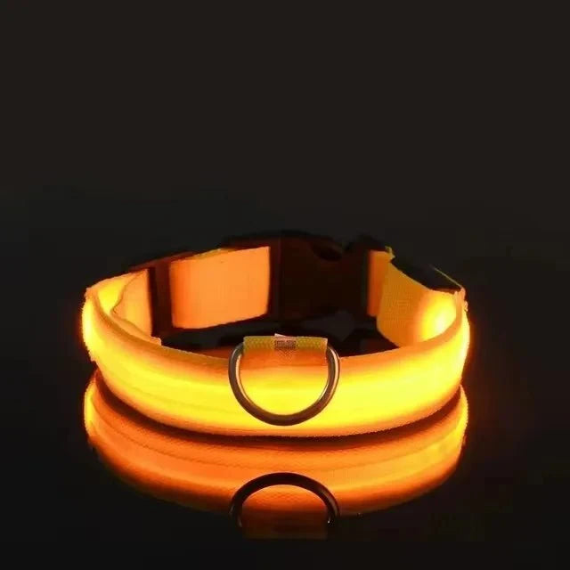 LED Light-Up Dog Collar | Nylon Safety Collar with 3 Glow Modes