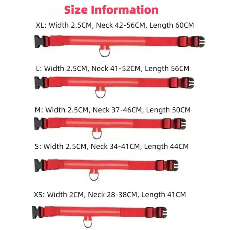LED Light-Up Dog Collar | Nylon Safety Collar with 3 Glow Modes