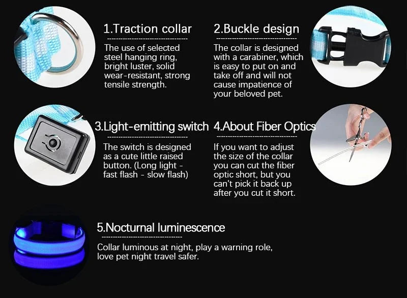 LED Light-Up Dog Collar | Nylon Safety Collar with 3 Glow Modes