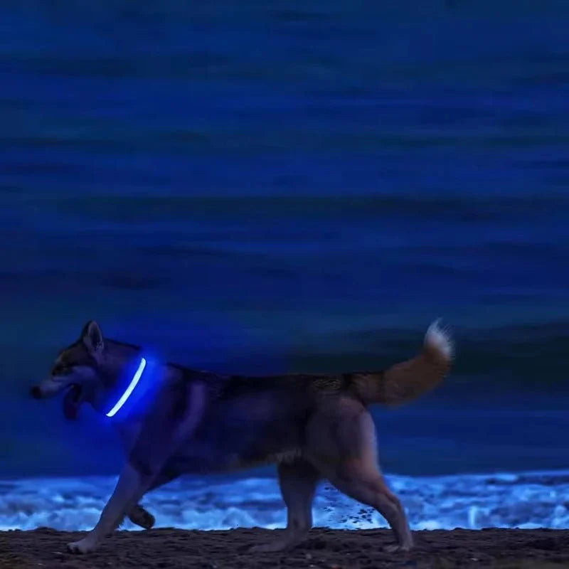 LED Light-Up Dog Collar | Nylon Safety Collar with 3 Glow Modes