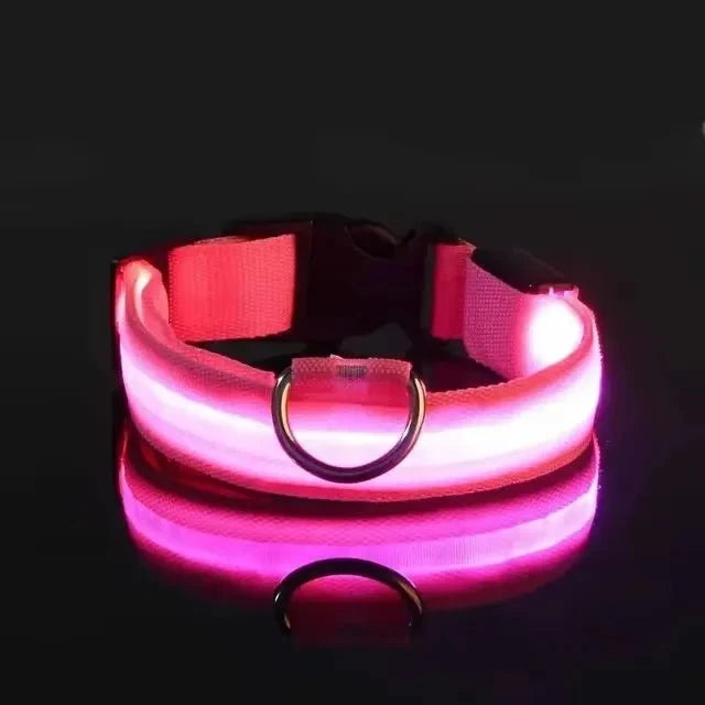 LED Light-Up Dog Collar | Nylon Safety Collar with 3 Glow Modes