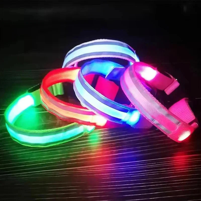 LED Light-Up Dog Collar | Nylon Safety Collar with 3 Glow Modes