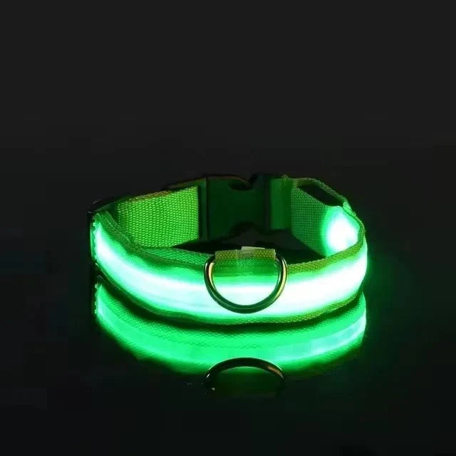 LED Light-Up Dog Collar | Nylon Safety Collar with 3 Glow Modes