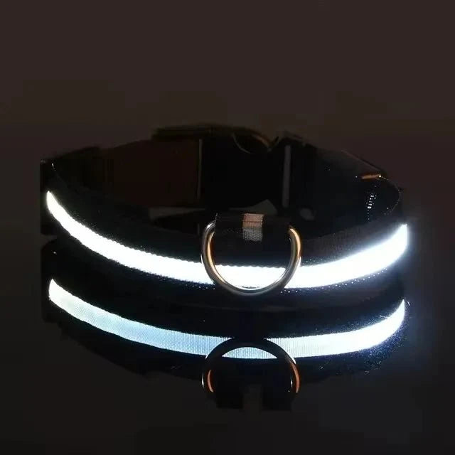 LED Light-Up Dog Collar | Nylon Safety Collar with 3 Glow Modes