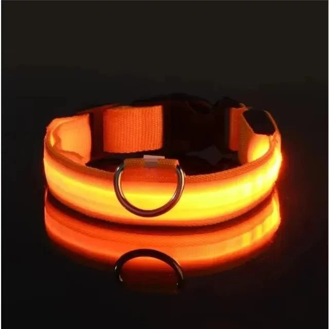 LED Light-Up Dog Collar | Nylon Safety Collar with 3 Glow Modes