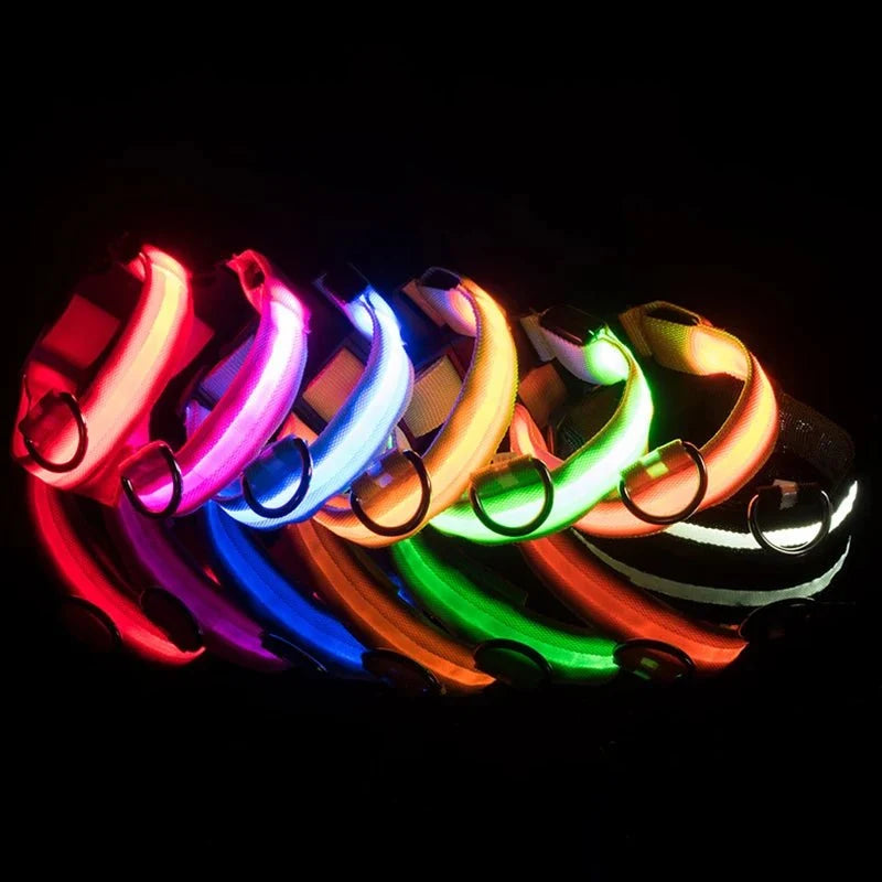 LED Light-Up Dog Collar | Nylon Safety Collar with 3 Glow Modes