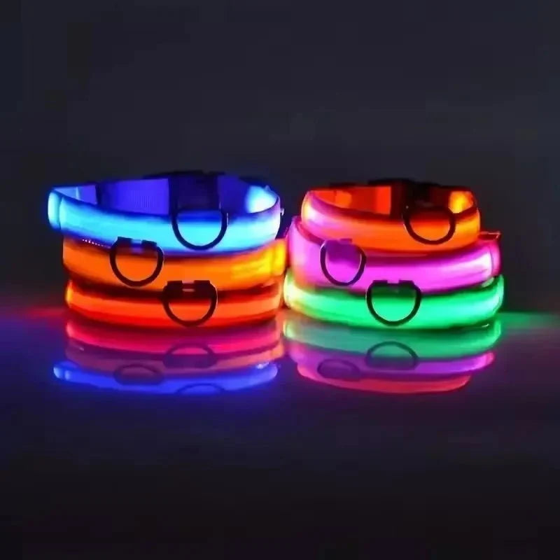 LED Light-Up Dog Collar | Nylon Safety Collar with 3 Glow Modes
