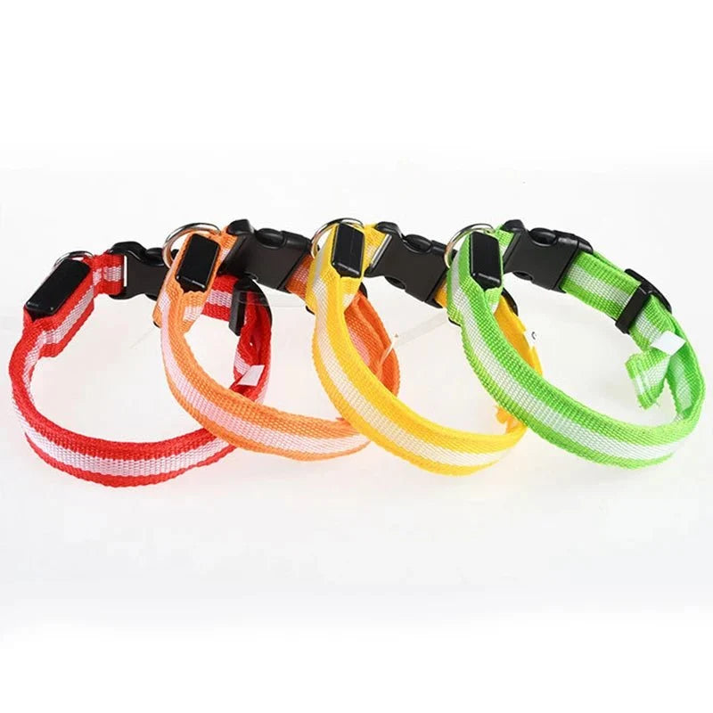 LED Light-Up Dog Collar | Nylon Safety Collar with 3 Glow Modes