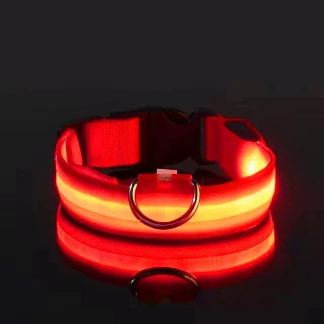LED Light-Up Dog Collar | Nylon Safety Collar with 3 Glow Modes
