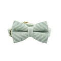 Sage Corduroy Dog Matching Set | Personalized Collar, Harness, Leash & Bowtie