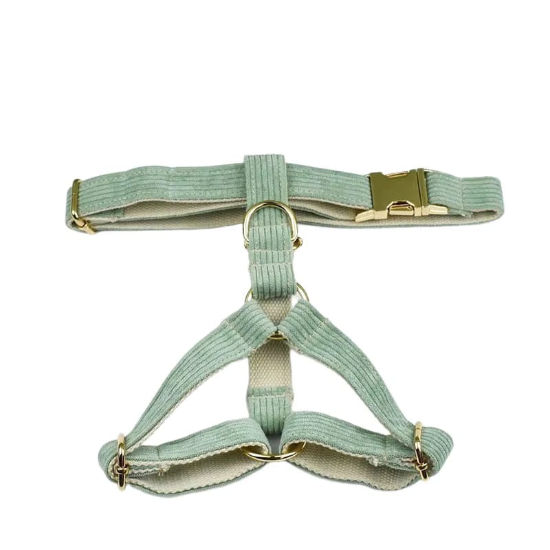 Sage Corduroy Dog Matching Set | Personalized Collar, Harness, Leash & Bowtie