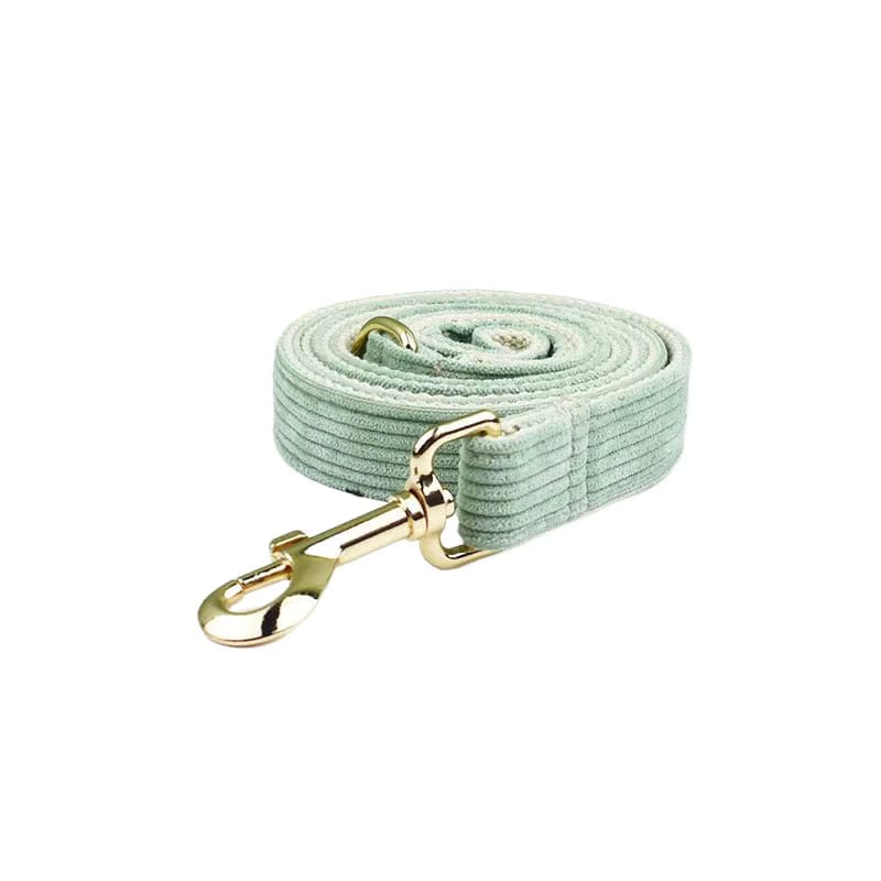 Sage Corduroy Dog Matching Set | Personalized Collar, Harness, Leash & Bowtie