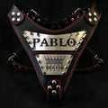 The Maximus Metal Harness