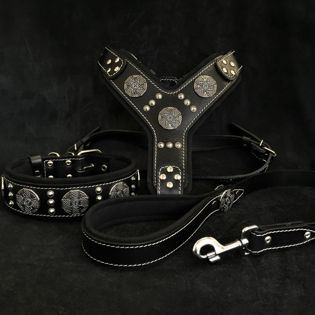 The Maximus Silver Set