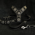 The Maximus Silver Set