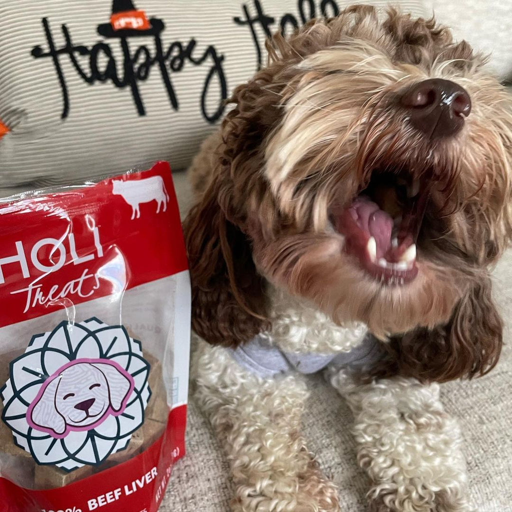 The Freeze-Dried Liver Bites