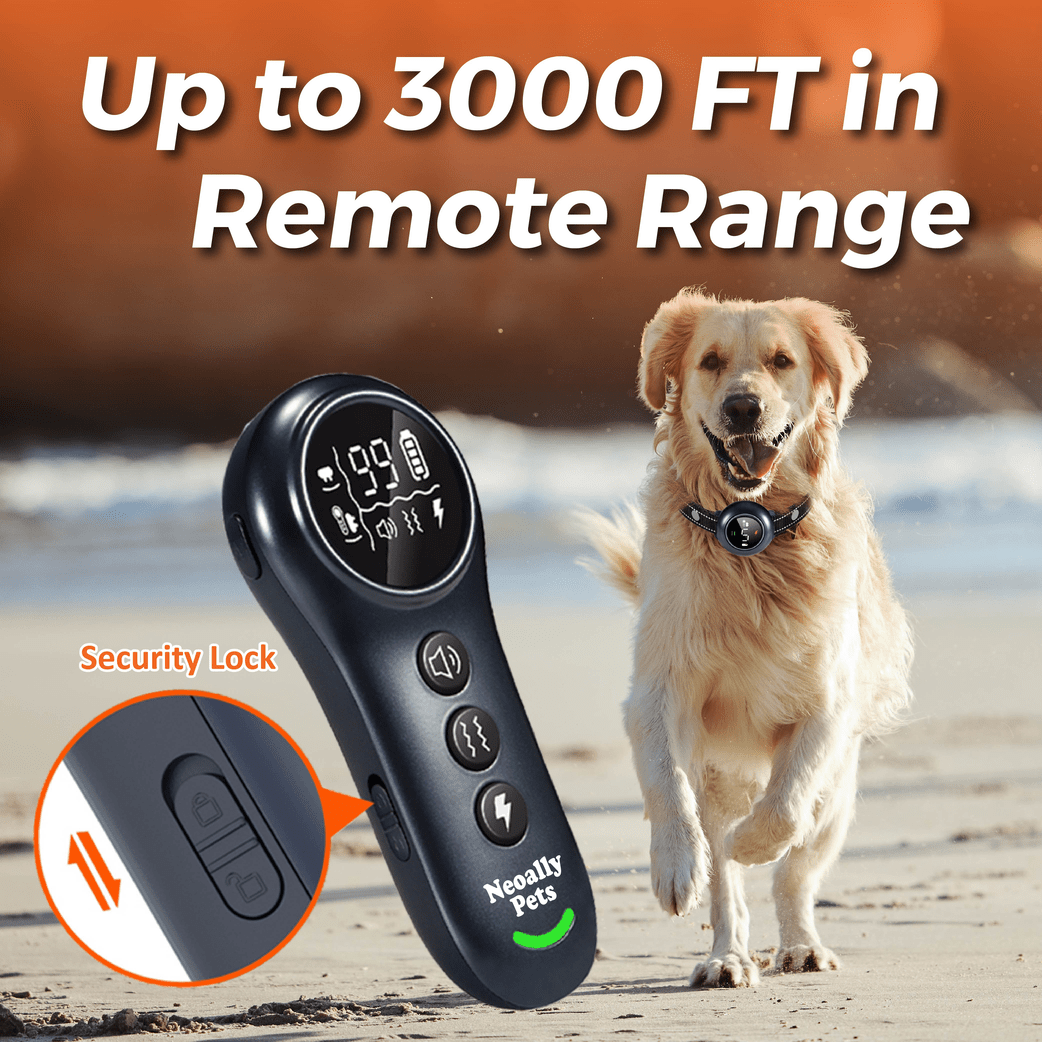 2-in-1 Smart Training & Bark Control Collar | Rechargeable, Waterproof | For Dogs 5–150 lbs